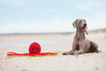 Preview: Oktopus - verschiedene Farben - 56 cm lang
